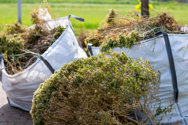 Best Same-Day Junk Removal  in Lambertville, NJ